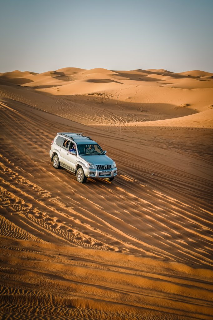 Palmen und Souks, Marokkoblog und Reisen in die Sahara